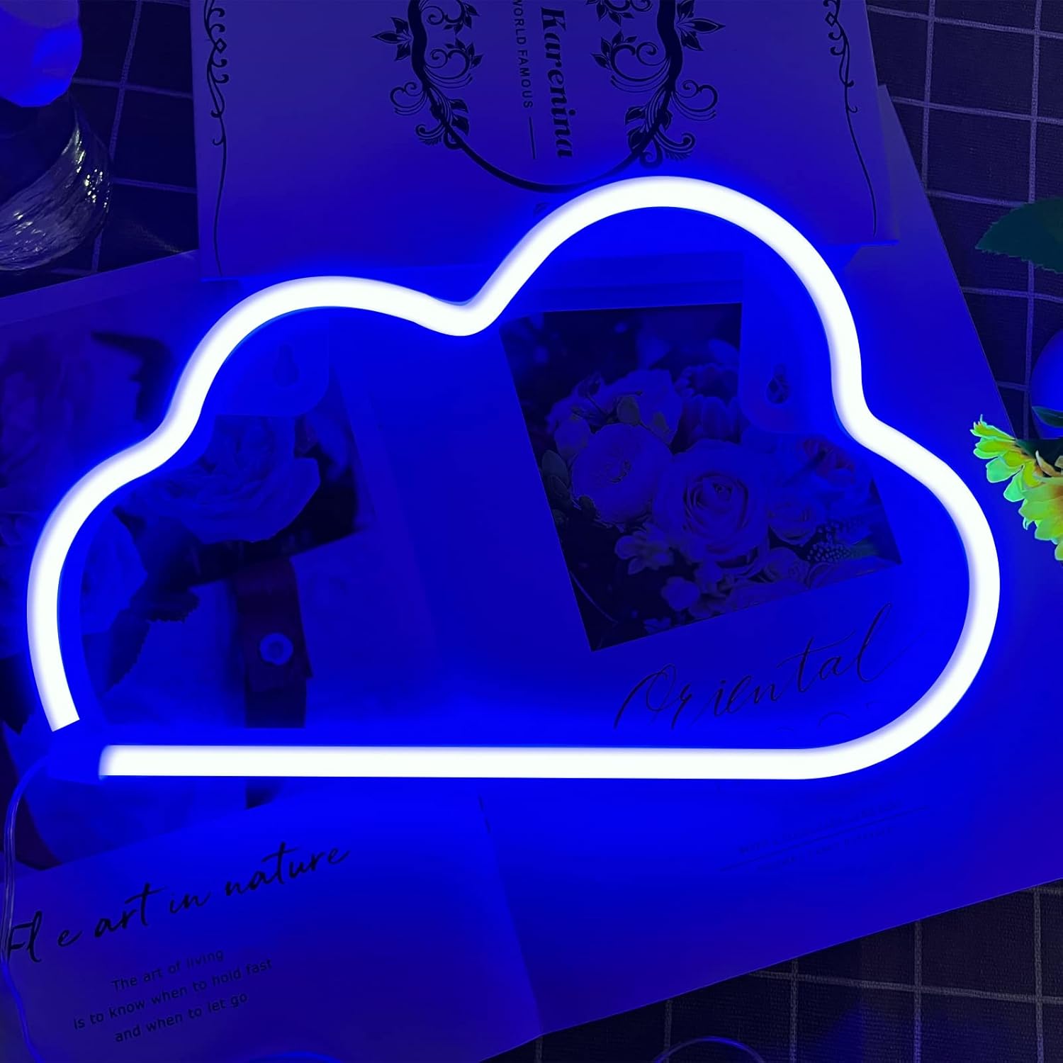  Blue Cloud Neon Sign