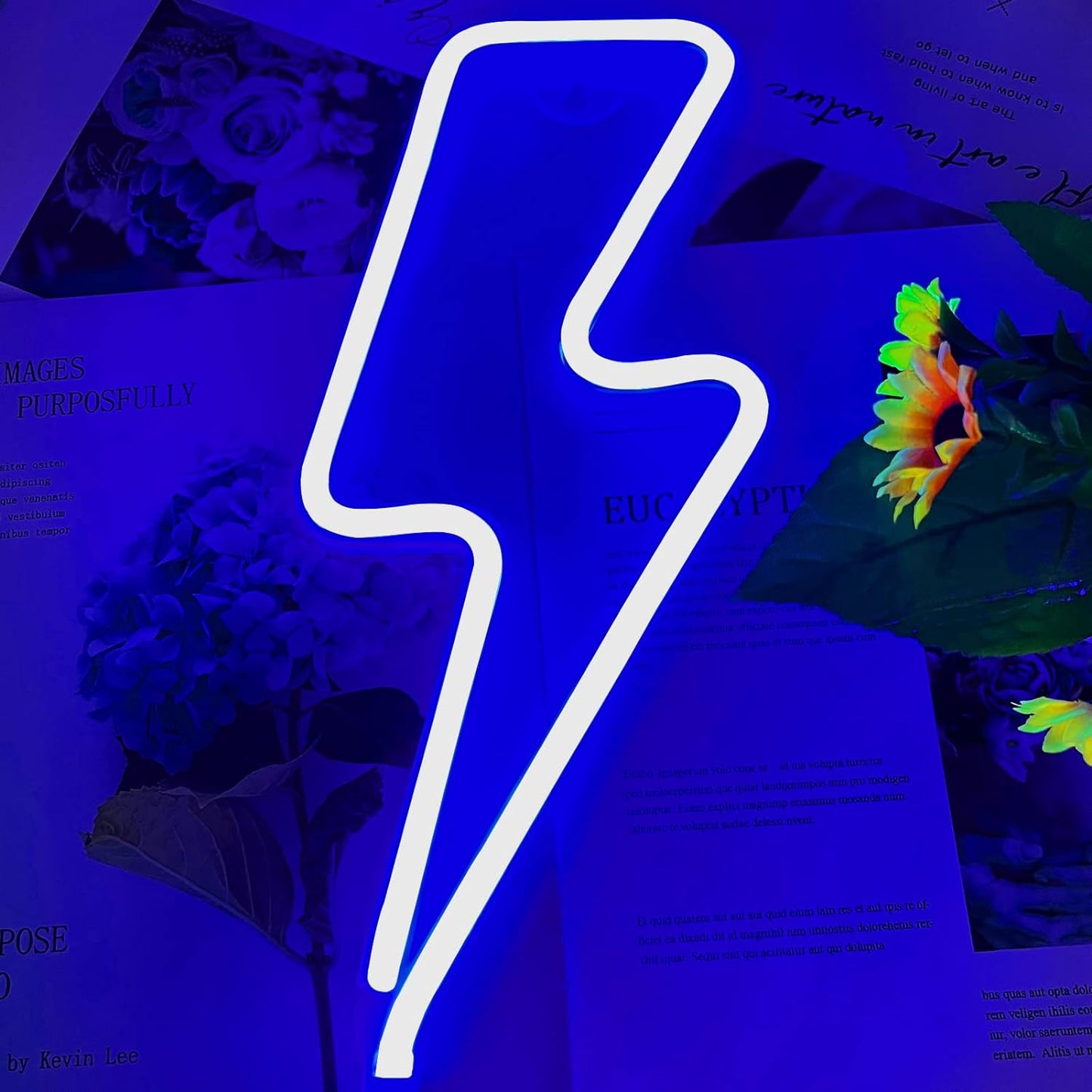 Lightning Neon Sign